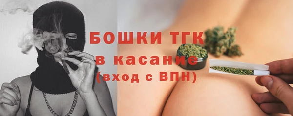 СК Медногорск