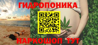 сатива Абакан