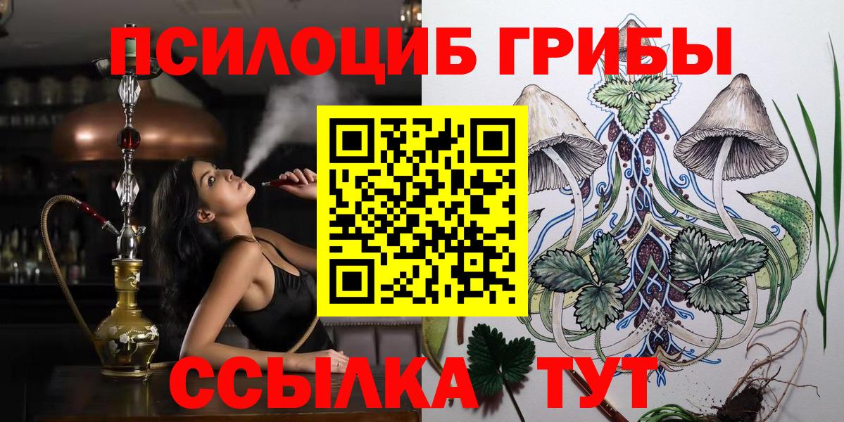 Галлюциногенные грибы прущие грибы  Вход с VPN  Альметьевск 